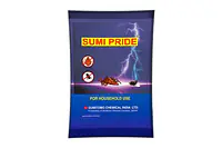 SUMI PRIDE�� 6GM - Master